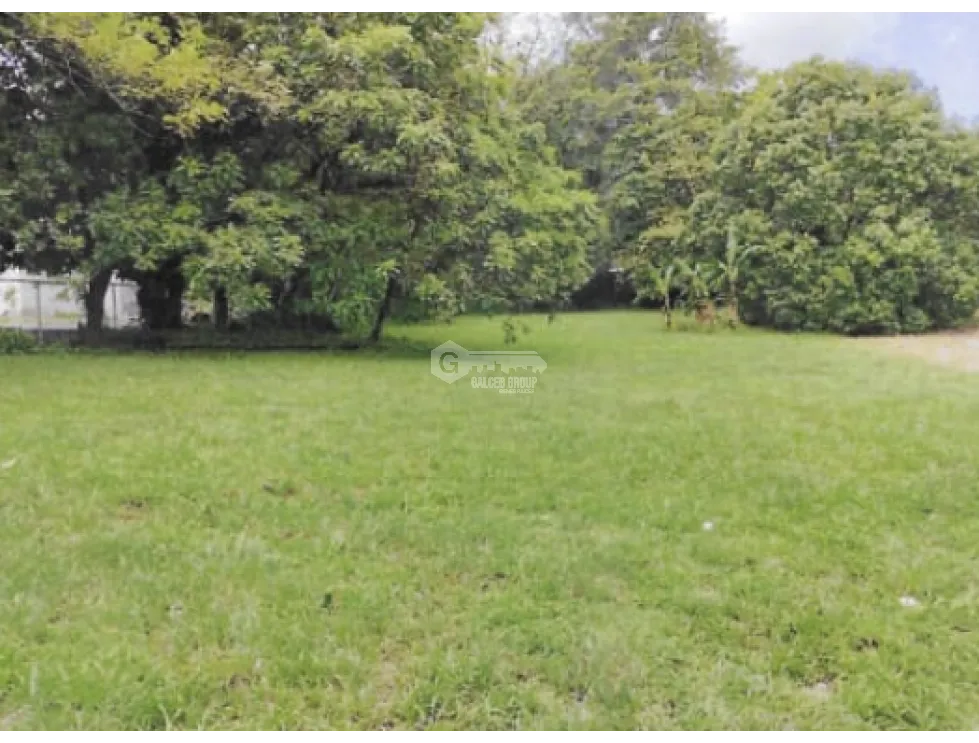 LAND FOR SALE IN CHAME BEJUCO 1572 M2 FLAT WITH GREEN AREAS