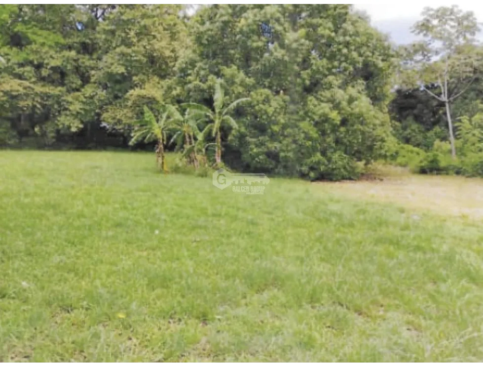 CHAME / BEJUCO / 1572 M2 / FLAT LAND / GREEN AREAS / SPACIOUS