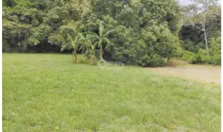 CHAME / BEJUCO / 1572 M2 / FLAT LAND / GREEN AREAS / SPACIOUS