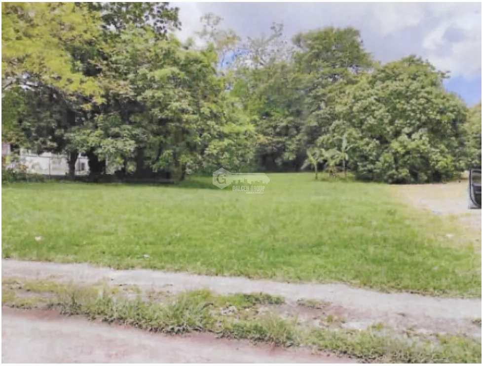 CHAME / BEJUCO / 1572 M2 / FLAT LAND / GREEN AREAS / SPACIOUS