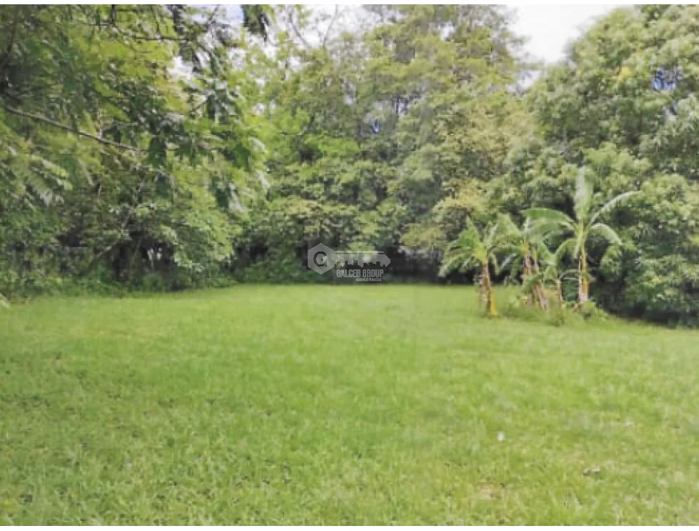 CHAME / BEJUCO / 1572 M2 / FLAT LAND / GREEN AREAS / SPACIOUS