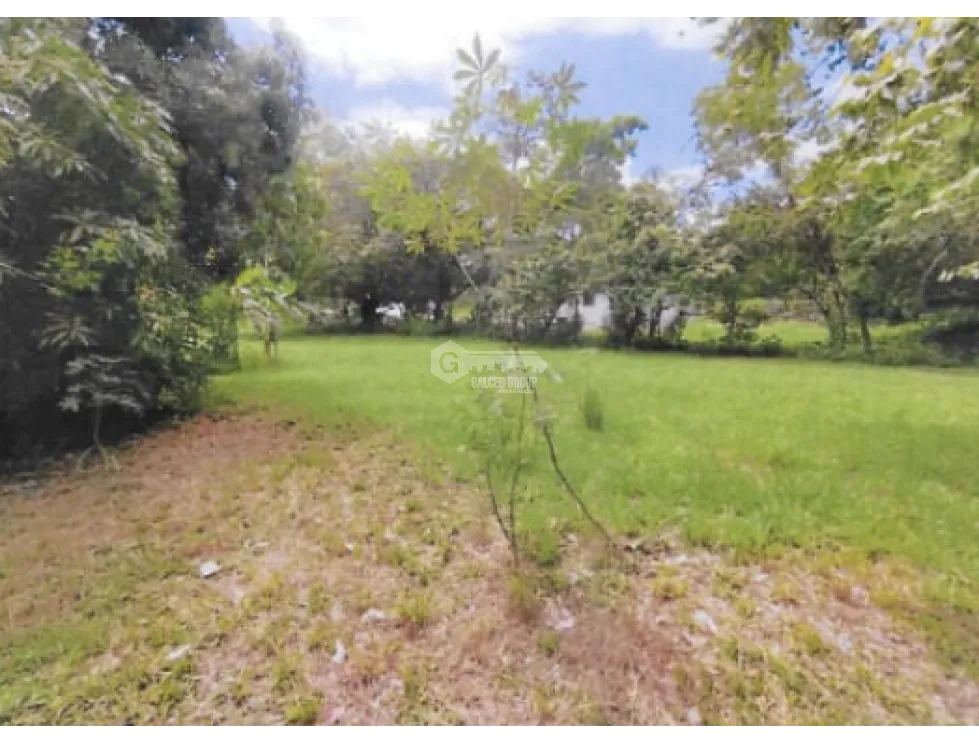 CHAME / BEJUCO / 1572 M2 / FLAT LAND / GREEN AREAS / SPACIOUS