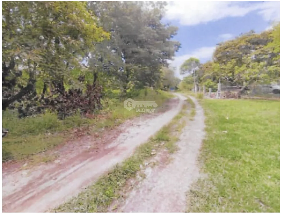 CHAME / BEJUCO / 1572 M2 / FLAT LAND / GREEN AREAS / SPACIOUS