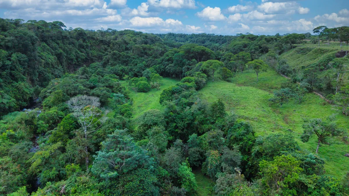 Nature, Space and Potential in One Place