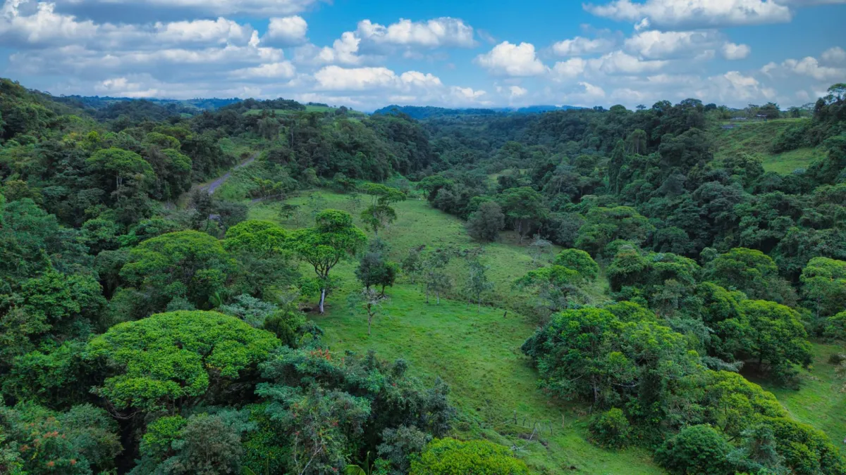 Nature, Space and Potential in One Place