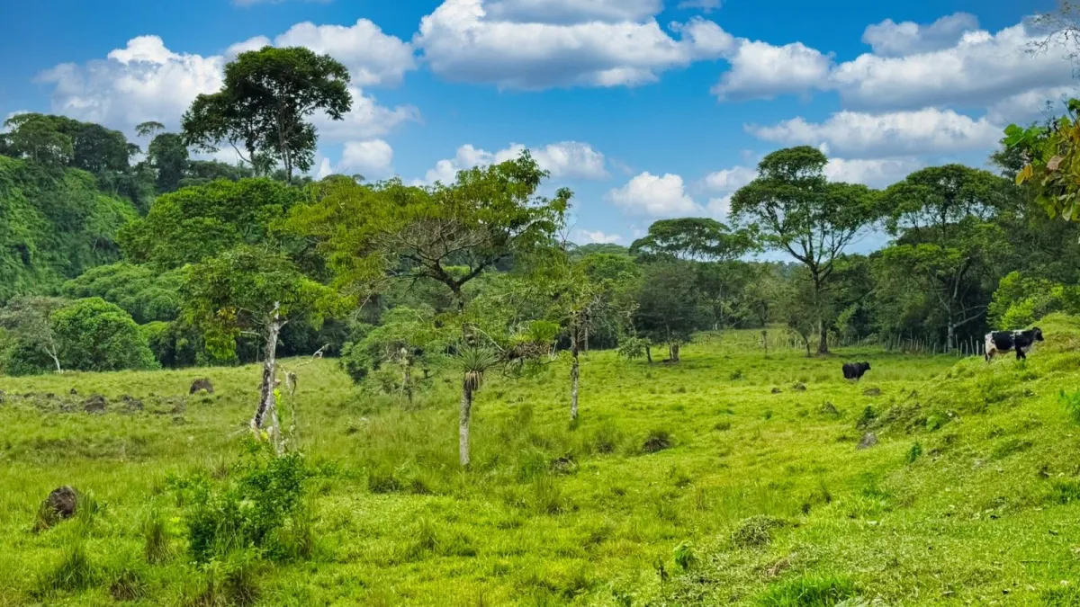 Nature, Space and Potential in One Place