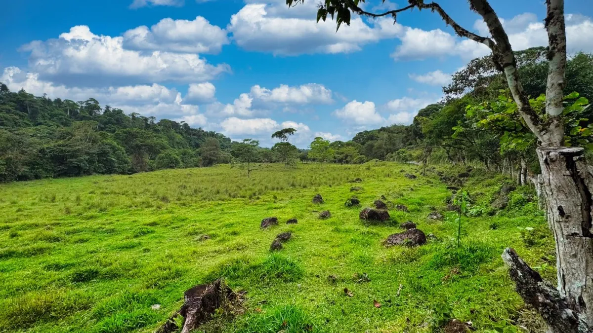 Nature, Space and Potential in One Place