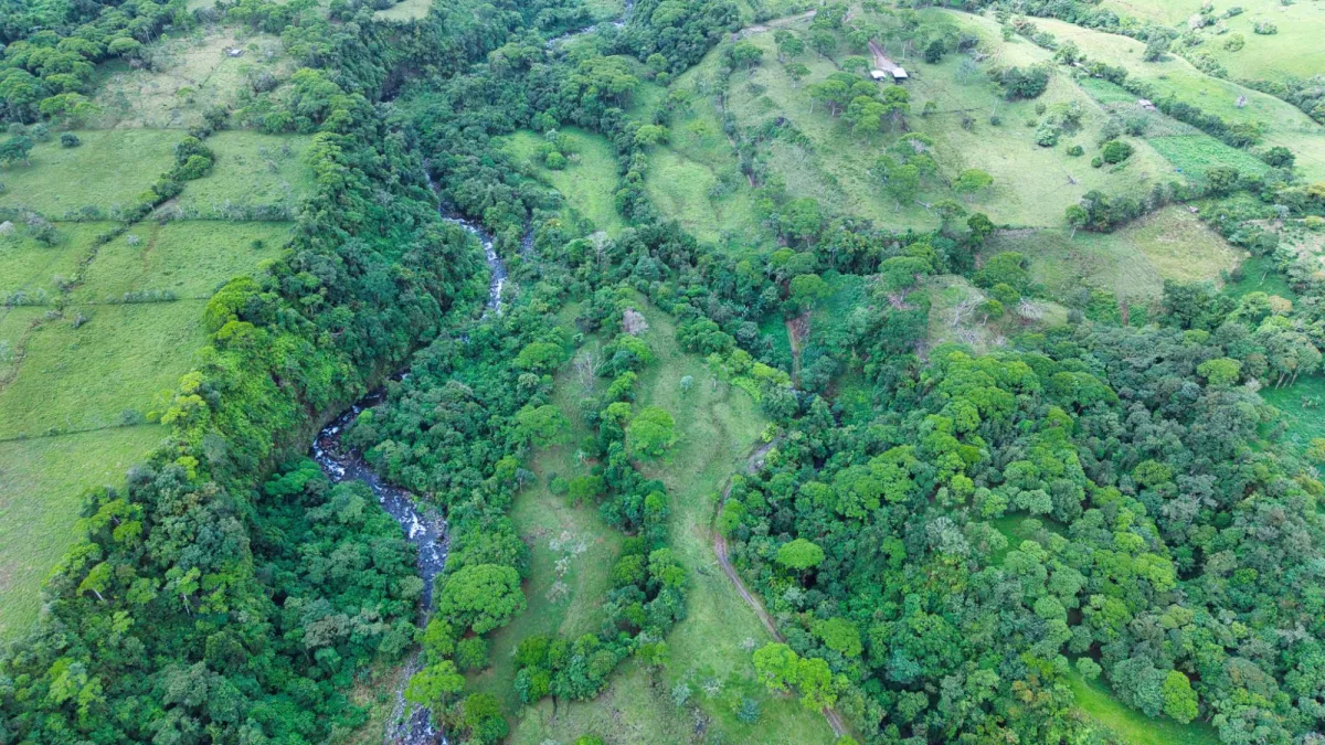 Nature, Space and Potential in One Place