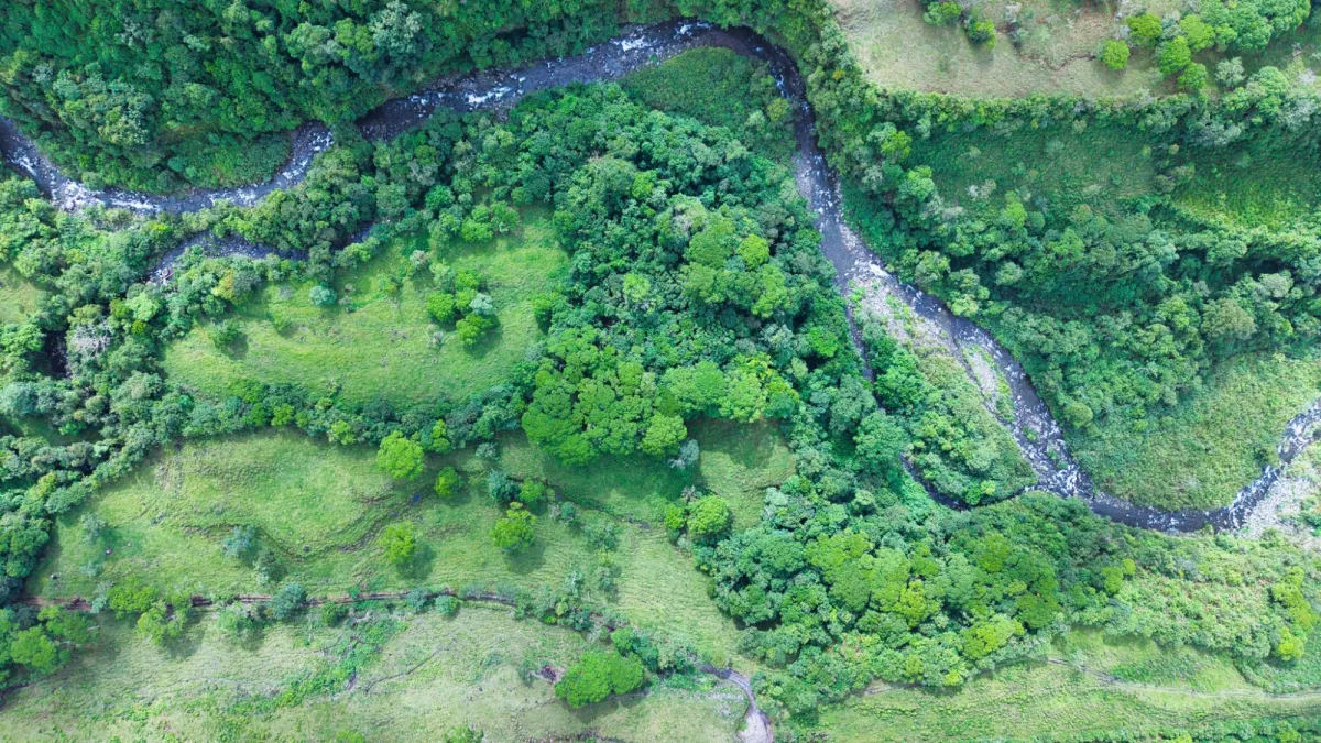Nature, Space and Potential in One Place