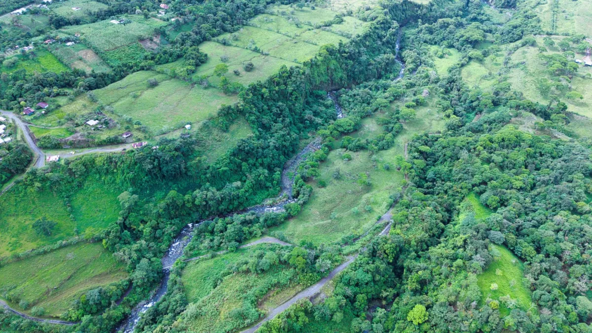 Nature, Space and Potential in One Place