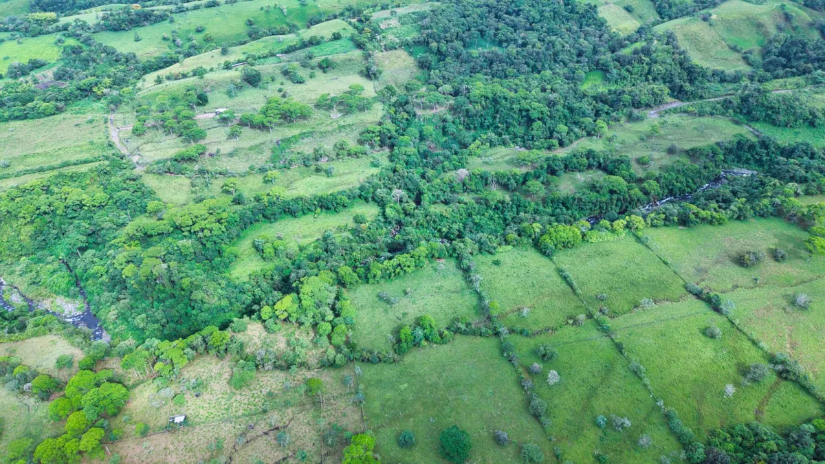 Nature, Space and Potential in One Place