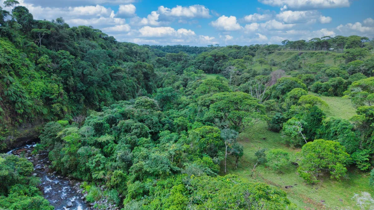 Nature, Space and Potential in One Place