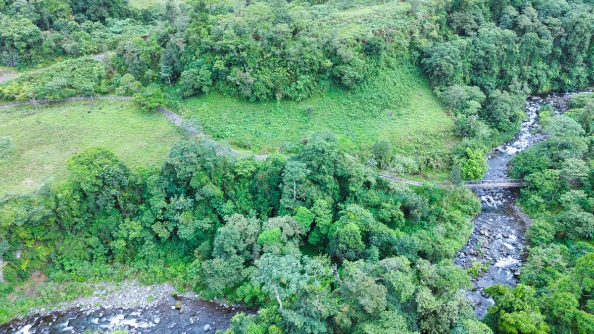 Nature, Space and Potential in One Place