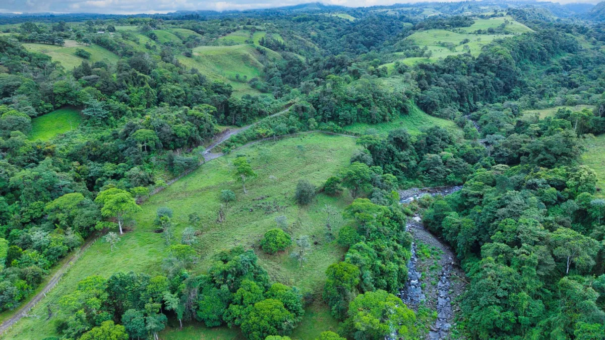Nature, Space and Potential in One Place