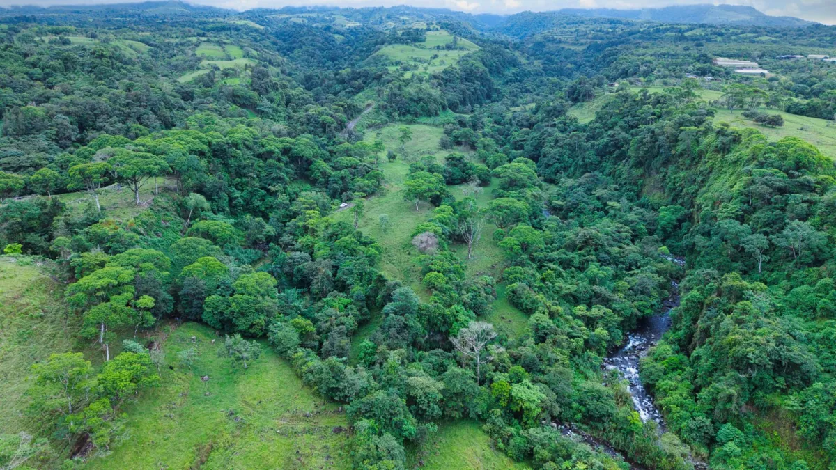 Nature, Space and Potential in One Place