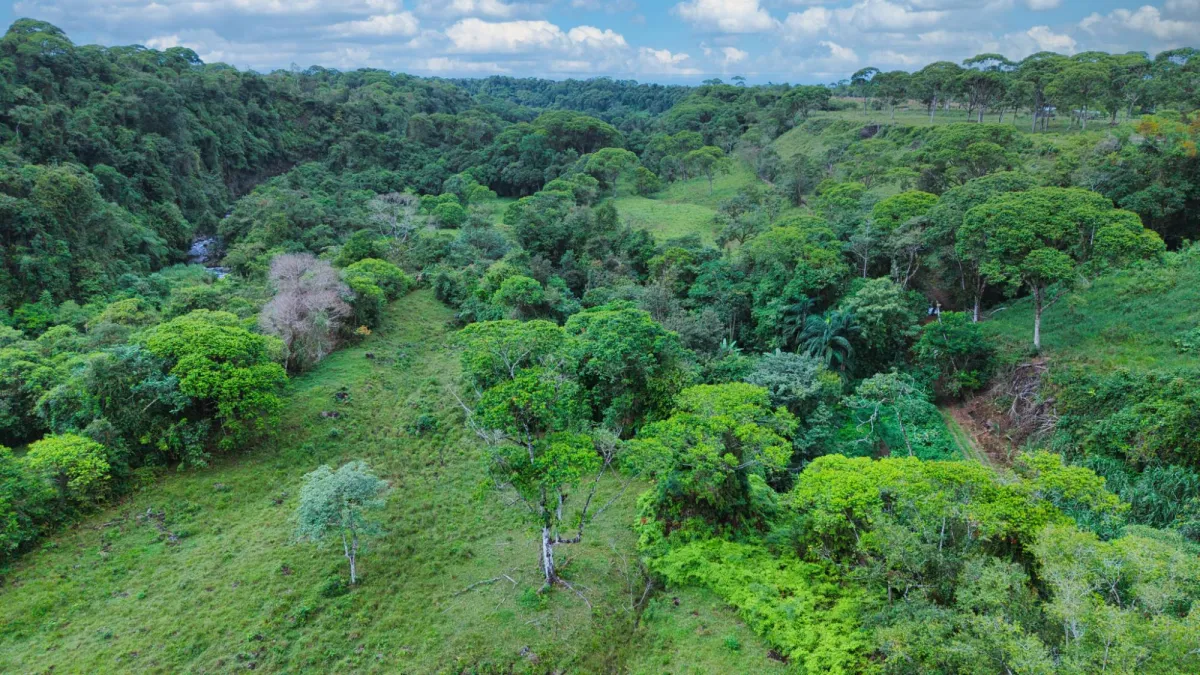 Nature, Space and Potential in One Place