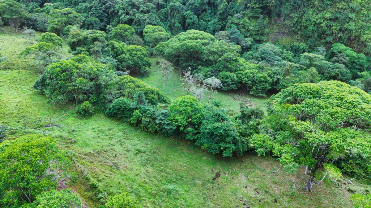 Nature, Space and Potential in One Place