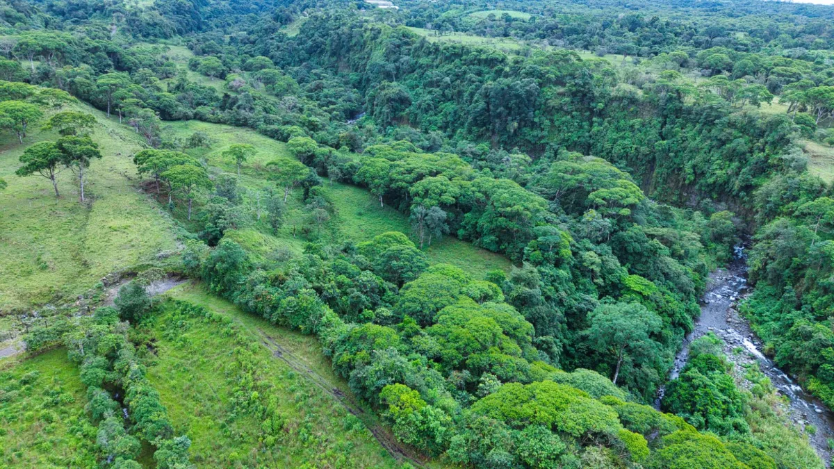 Nature, Space and Potential in One Place