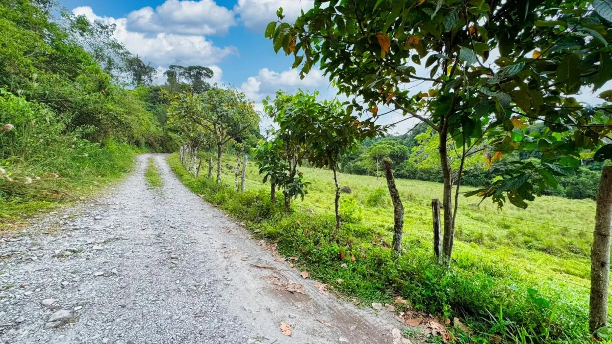 Nature, Space and Potential in One Place