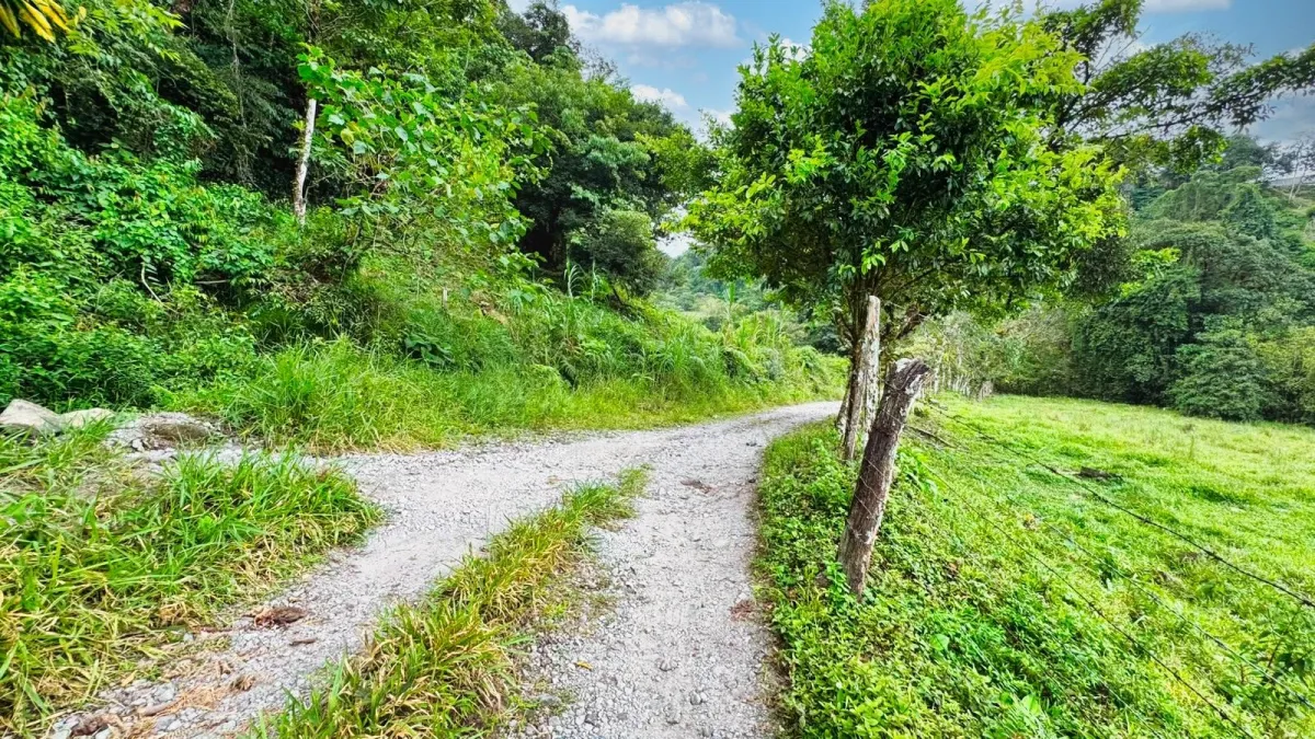Nature, Space and Potential in One Place