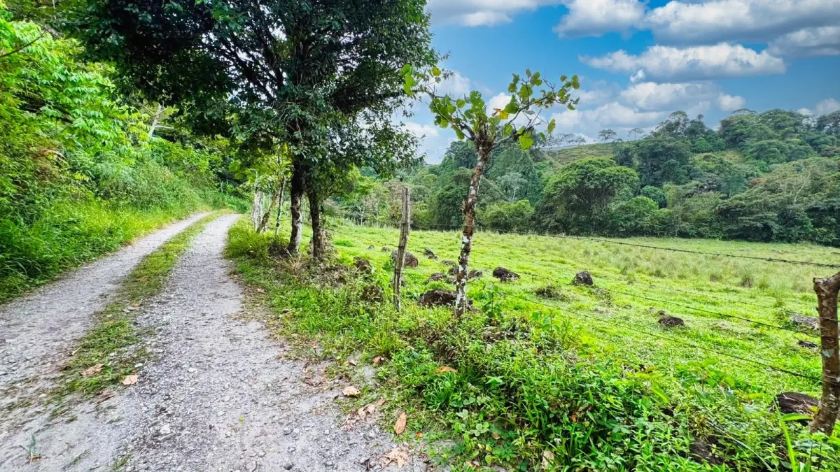 Nature, Space and Potential in One Place