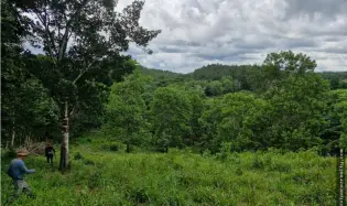 Building Lot for sale in Cocle
