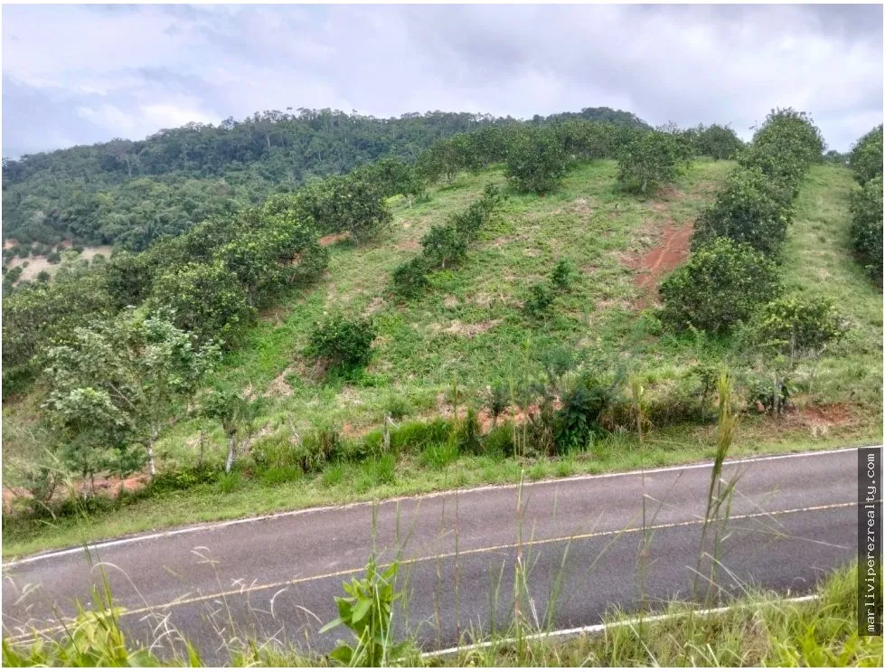 Venta de Terreno en Penonome