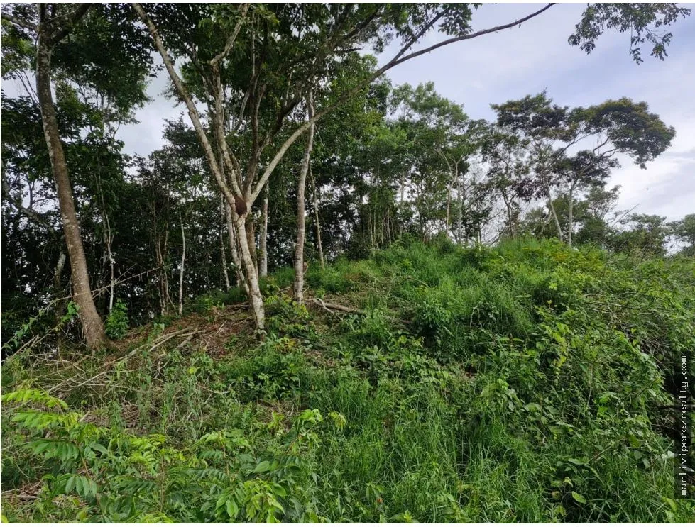 Venta de Terreno en Penonome