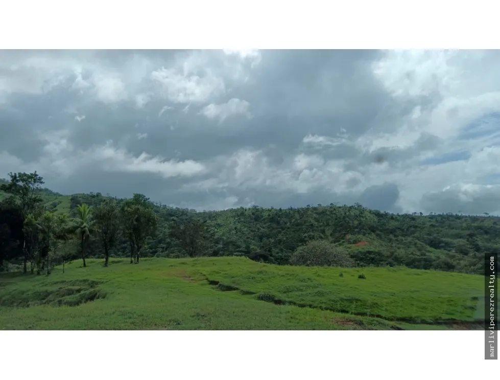 Venta de Terreno en Torio, Veraguas