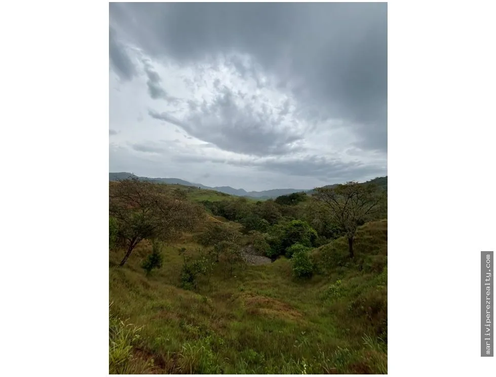 Venta de Terreno en Torio, Veraguas