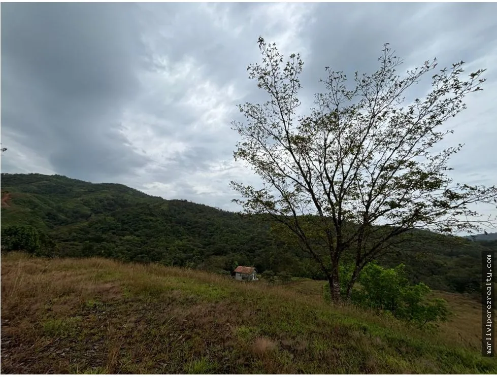 Venta de Terreno en Torio, Veraguas