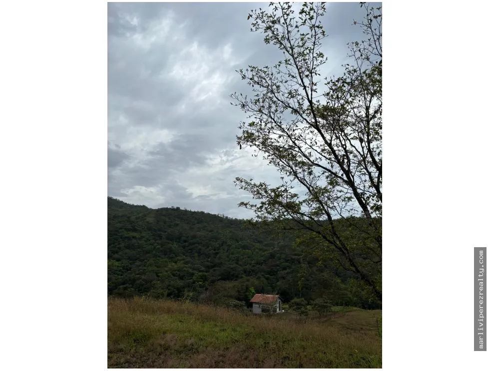 Venta de Terreno en Torio, Veraguas