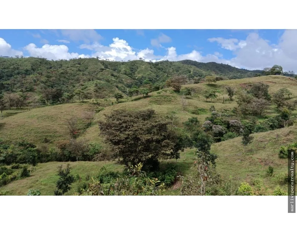 Venta de Terreno en Torio, Veraguas