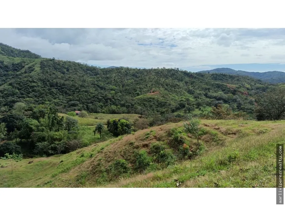Venta de Terreno en Torio, Veraguas