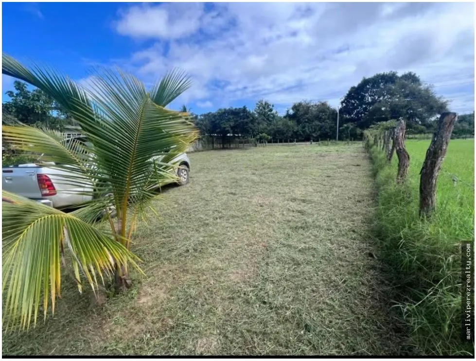 Venta de Terreno Pedasí