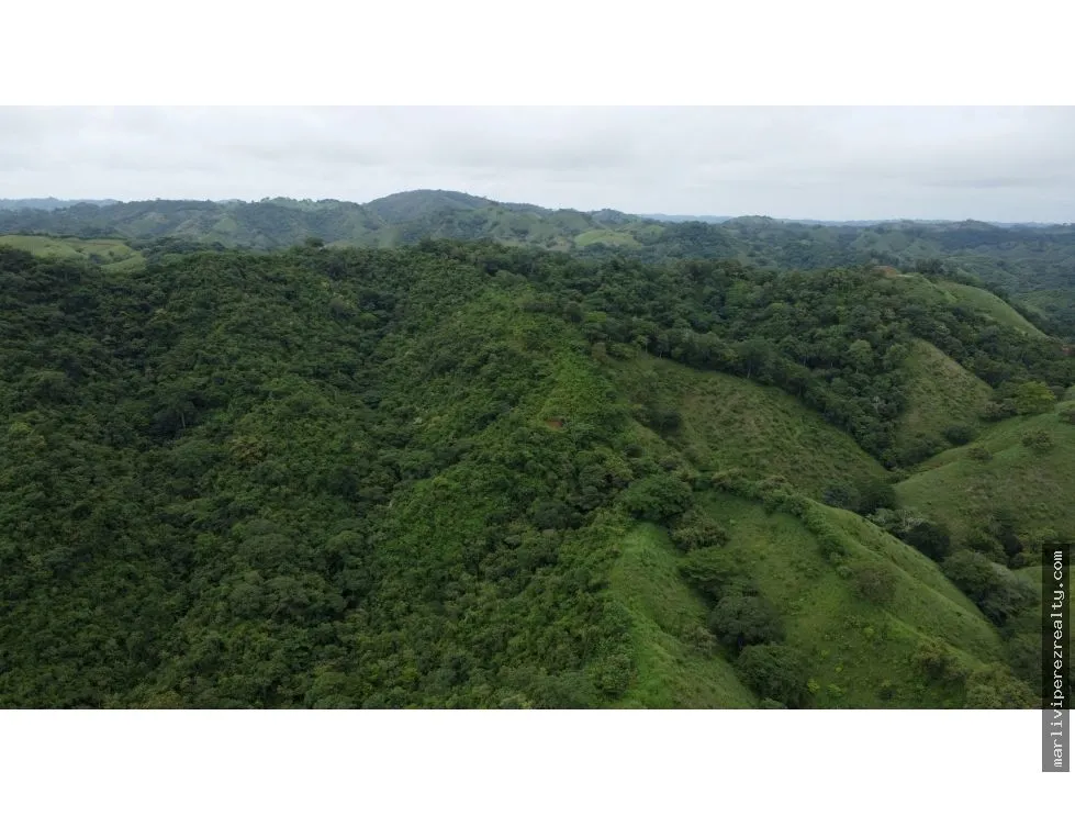 Land/Farm for sale in Tonosi