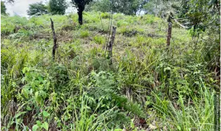 Venta de Terreno en Santa Fe, Veraguas