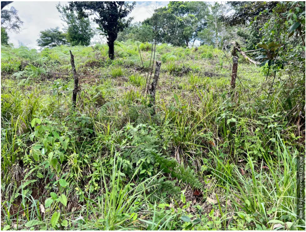 Venta de Terreno en Santa Fe, Veraguas