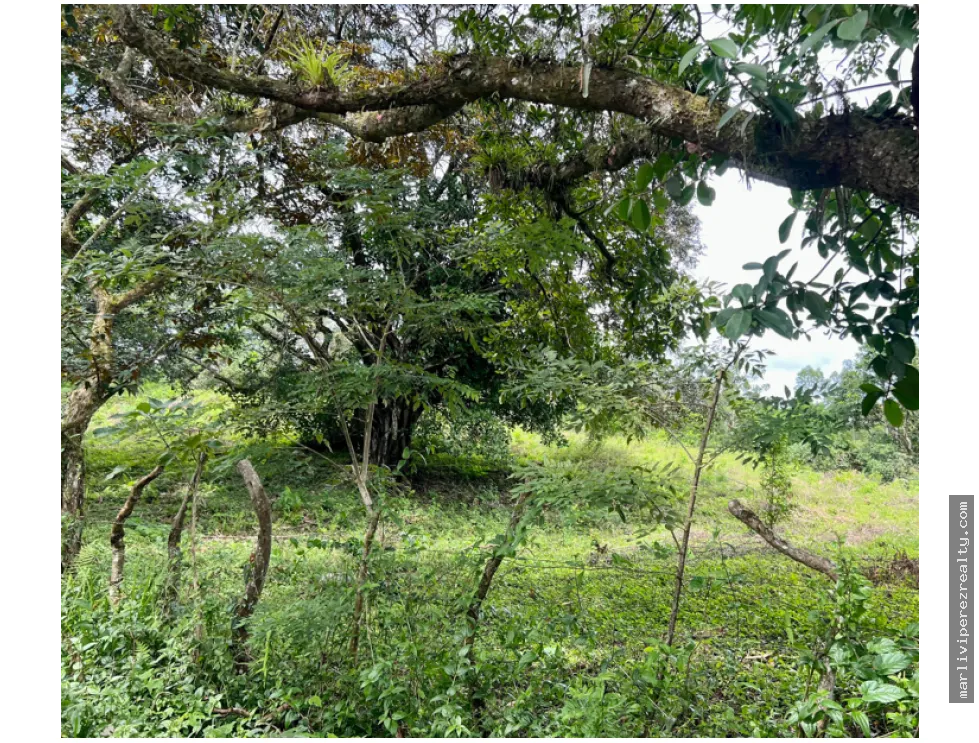 Venta de Terreno en Santa Fe, Veraguas