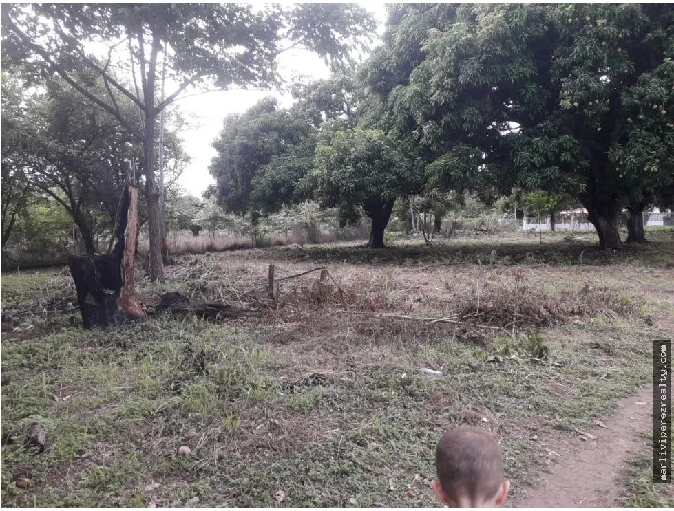 Building Lot for sale in Chame