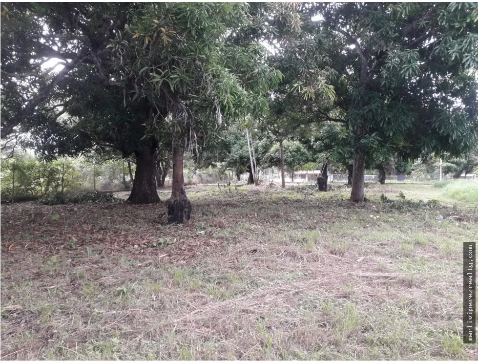 Building Lot for sale in Chame