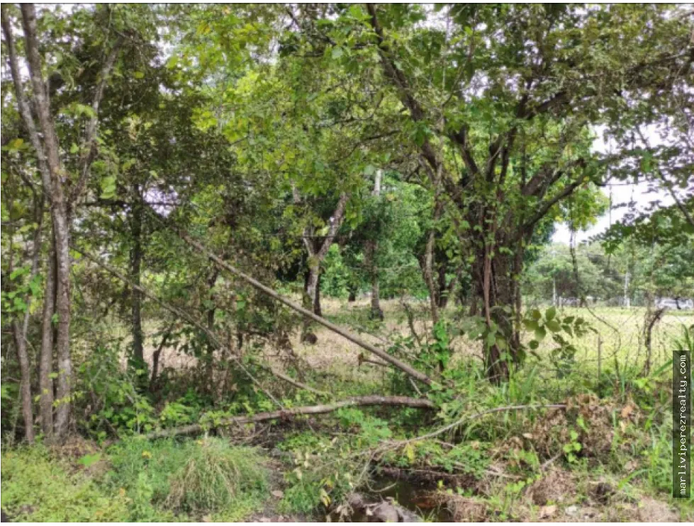Building Lot for sale in Chame