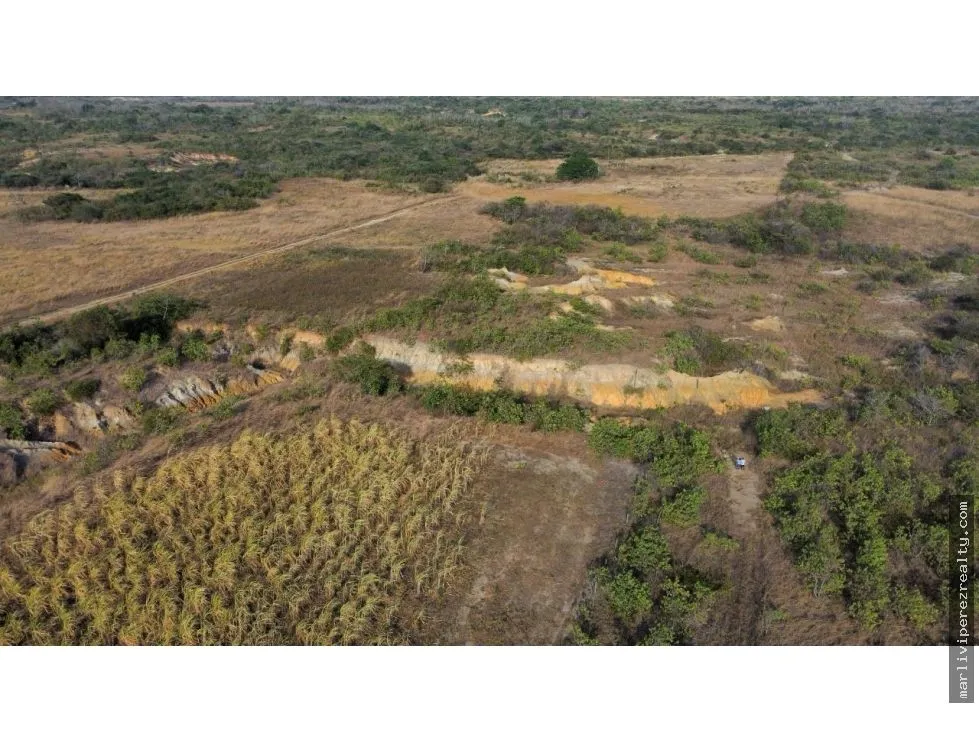 Building Lot for sale in Penonome