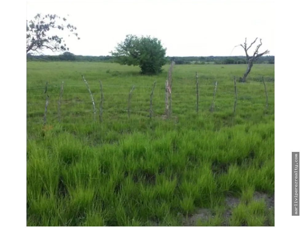 Building Lot for sale in Penonome