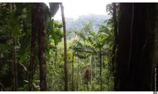 Land/Farm for sale in Bocas del Toro