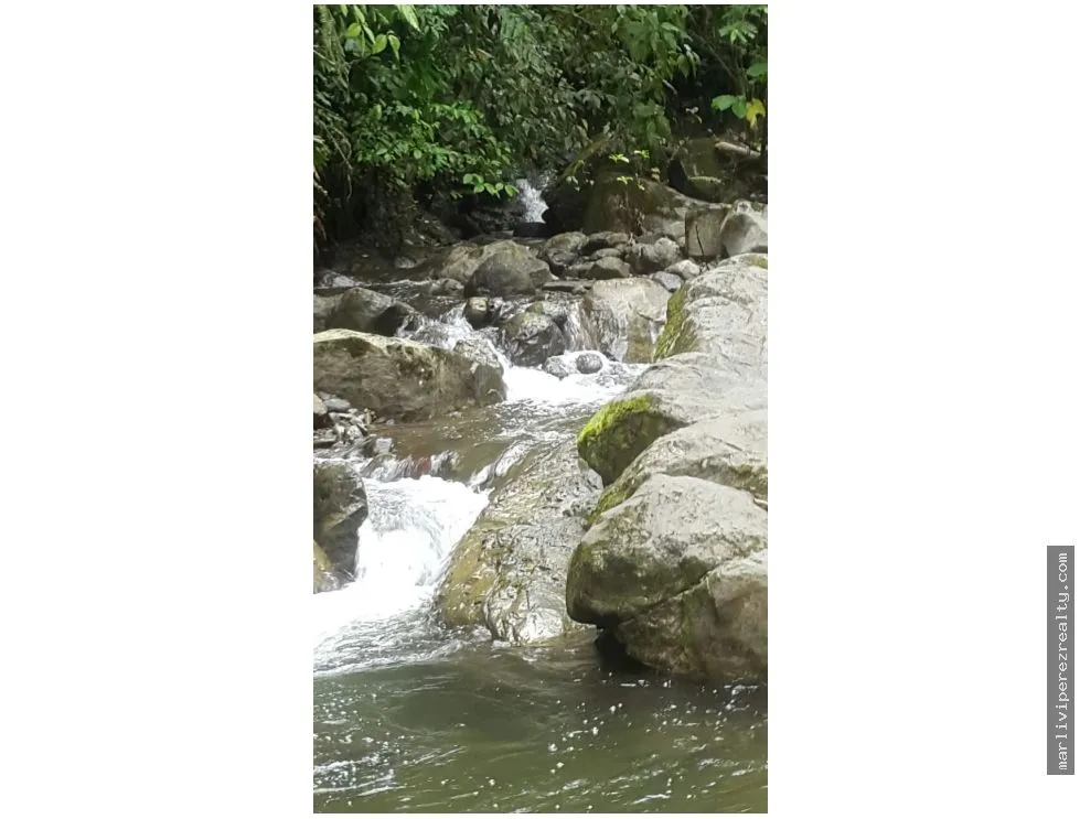 Venta de Finca en Changuinola, Bocas Del Toro