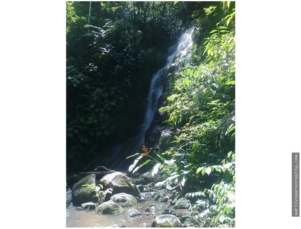 Venta de Finca en Changuinola, Bocas Del Toro