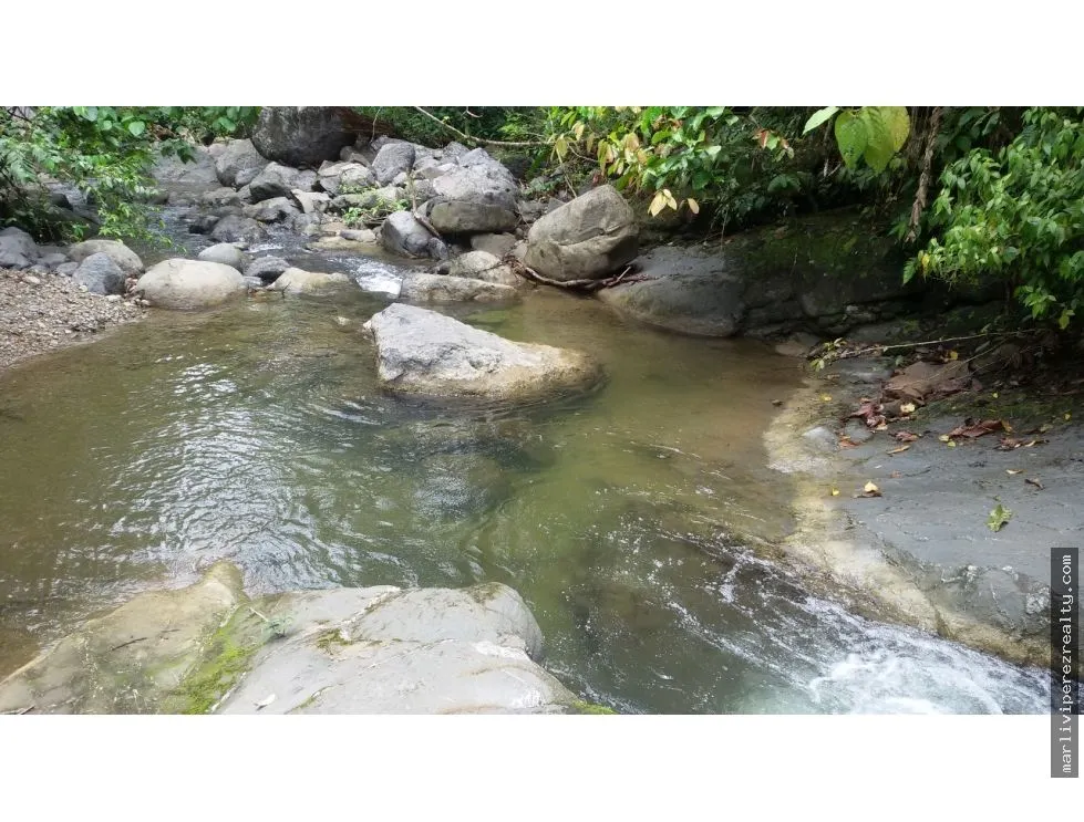 Venta de Finca en Changuinola, Bocas Del Toro