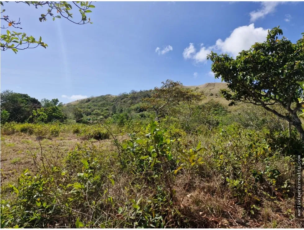 Venta de Terreno en Penonomé