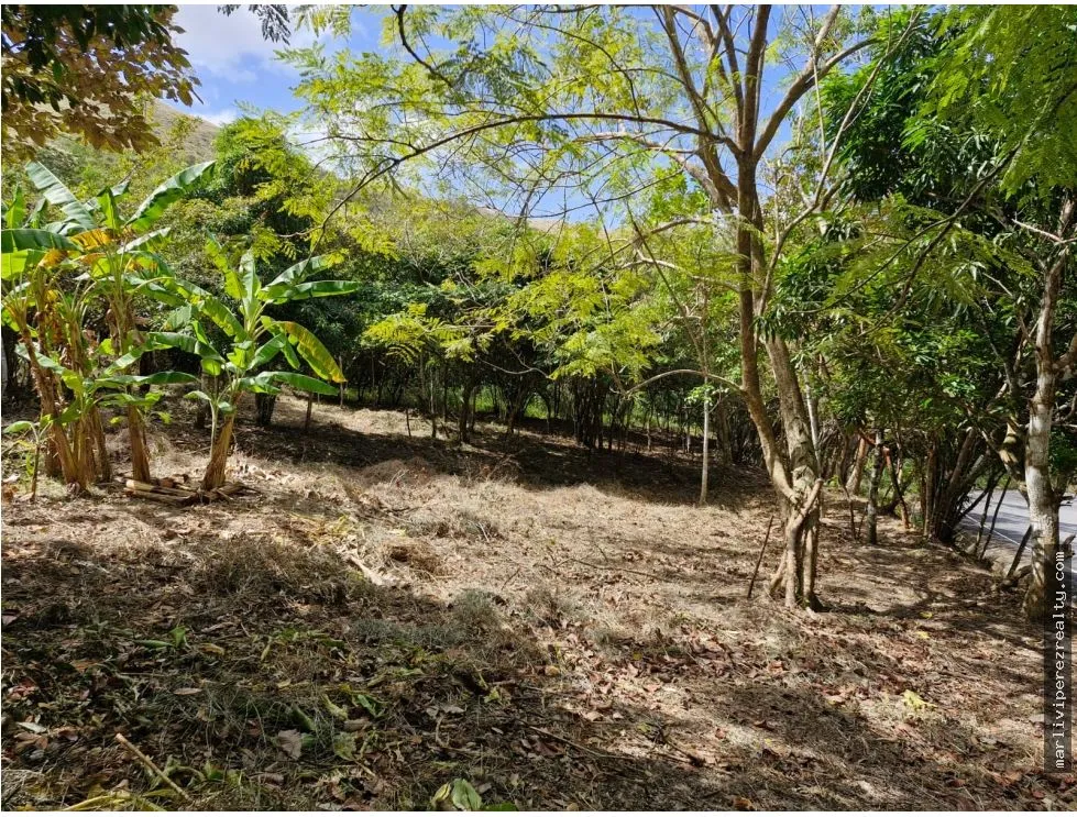 Venta de Terreno en Penonomé